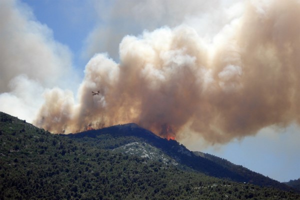 Marmaris'te orman yangını