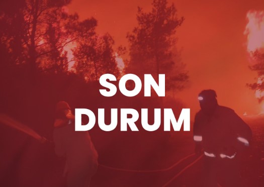 Marmaris'teki orman yangını