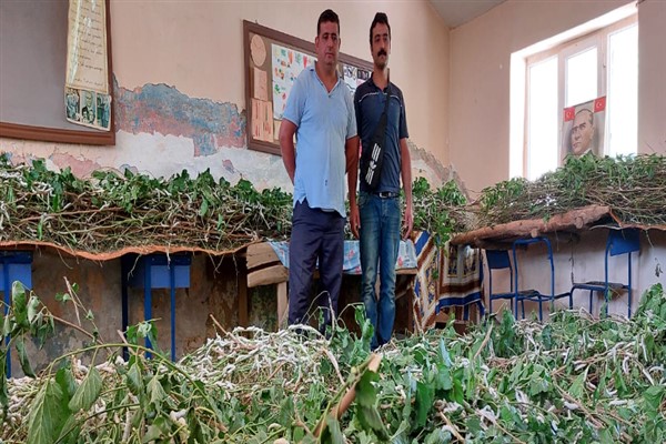 Diyarbakır'da ipek böceği yetiştiriliyor