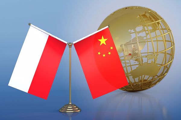 Xi, Polonya Cumhurbaşkanı ile telefonda görüştü