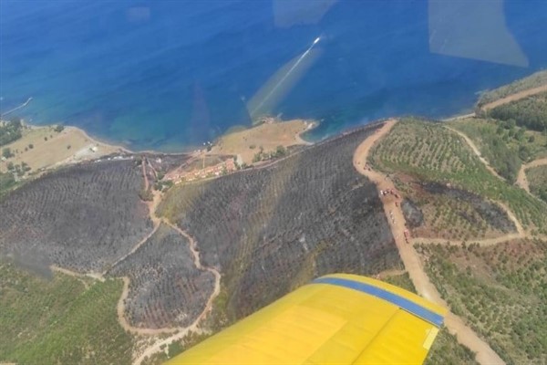 İzmir'deki orman yangını kontrol altında