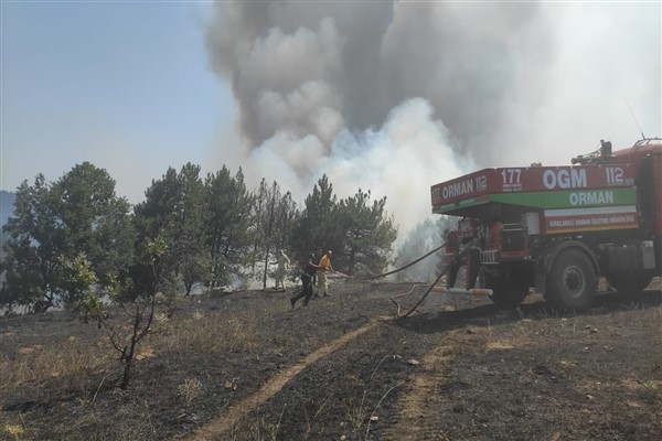 Kırklareli ve Çanakkale'de orman yangını