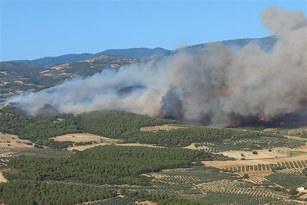 Manisa ve Aydın'da orman yangınları