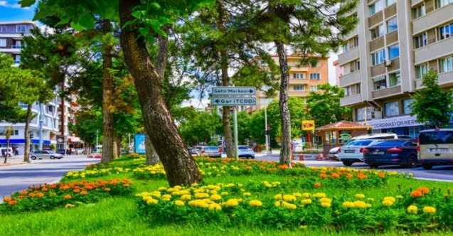 Kavşak ve Orta Refüjler Modern Bir Görünüme Kavuşuyor