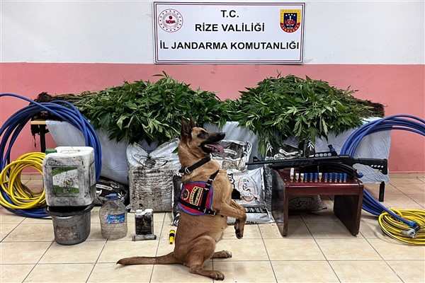 Rize'de uyuşturucu operasyonu