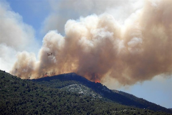 Manisa'da orman yangını