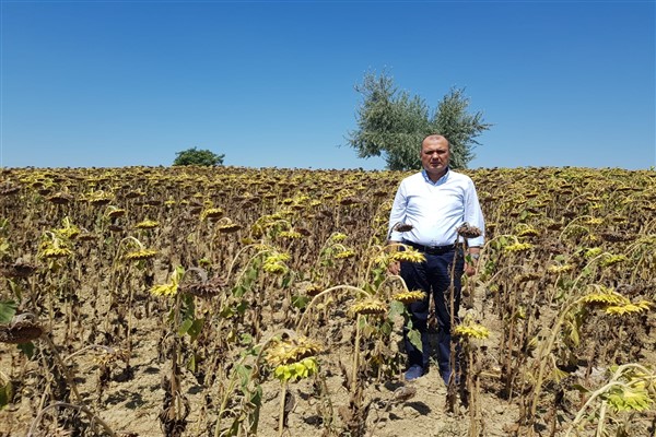 Milletvekili Aygun: “Ayçiçeğinde taban fiyat, kilo başına 16 lira olsun”