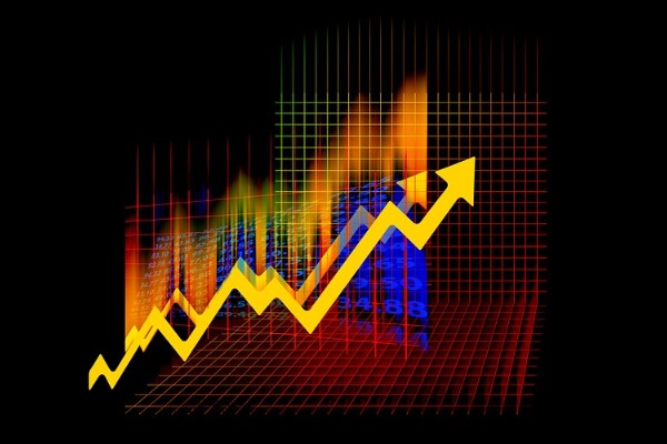 Verusa Holding'ten pay geri alımı