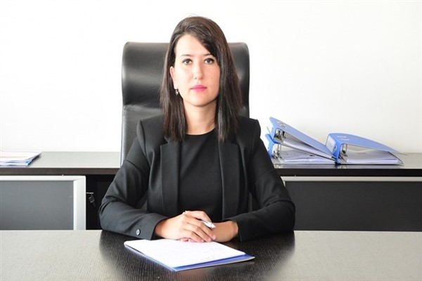 CHP'li Gökçen: