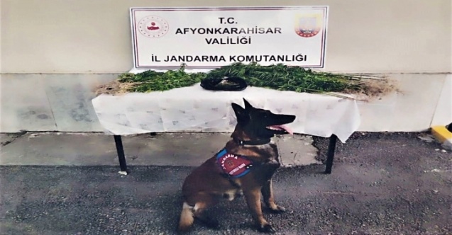 Kök Kenevir Ele Geçirildi