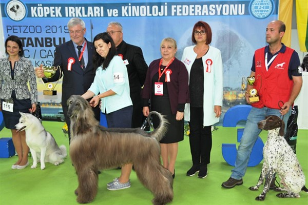 Evcil hayvanlara dair her şey PETZOO Ankara Fuarı'nda