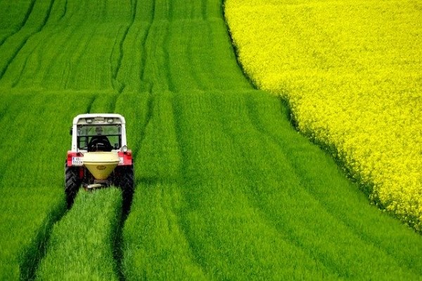 Tarımsal girdi fiyat endeksi yıllık yüzde 134,96, aylık yüzde 7,92 arttı