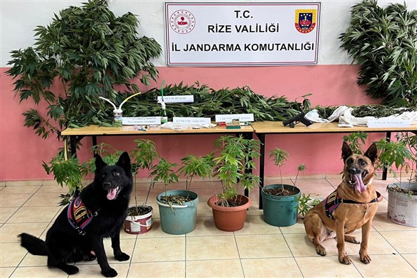 Rize'de uyuşturucu operasyonu