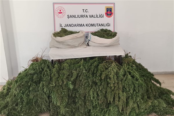 Şanlıurfa'da uyuşturucu operasyonu