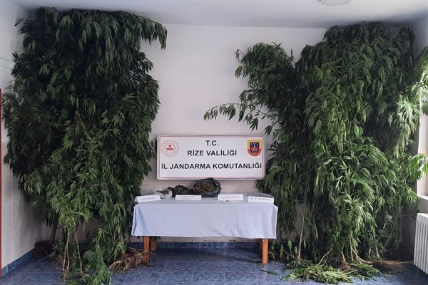 Rize'de kaçakçılık operasyonu