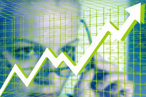 Verusa Holding'ten pay geri alımı