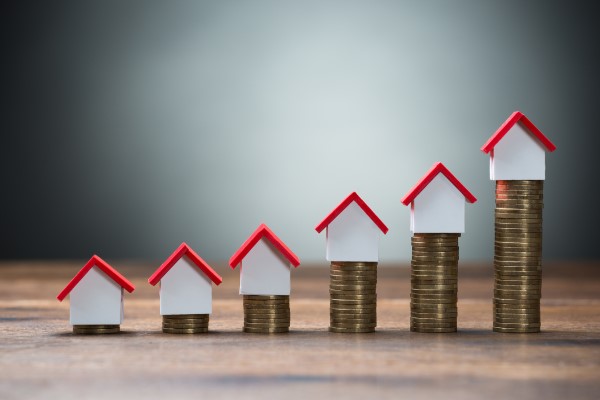 Şeker Gayrimenkul'ün Şile Villa projesi