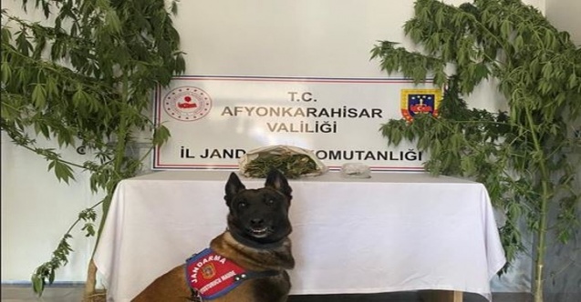 Salar'da uyuşturucu operasyonu