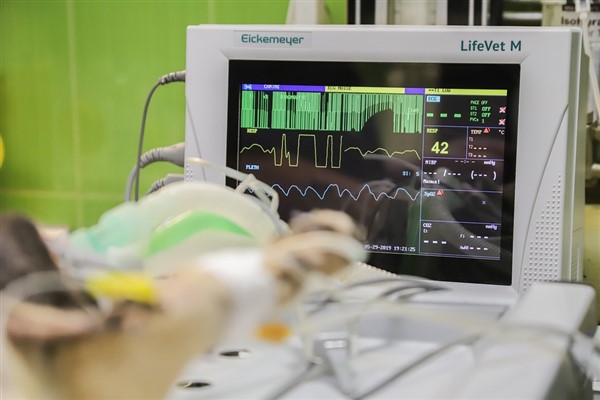 Kalp hastalıklarının 10 önemli belirtisine dikkat