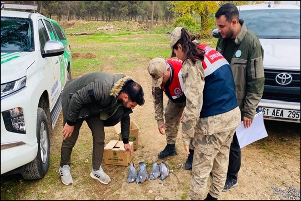 Şanlıurfa'da kaçak avlanma