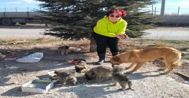 Taytak, AFHAYKO’ya yYrım Tona Yakın Mama Gönderdi