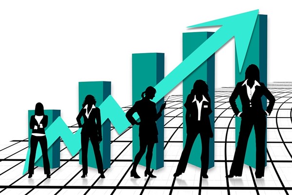 Federal-Mogul'da atama